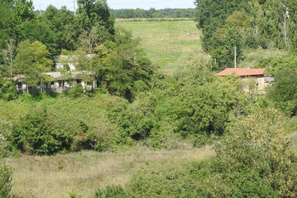 Gite En Pleine Nature Proche Du Lac De La Gimone Saint-Blancard Ngoại thất bức ảnh